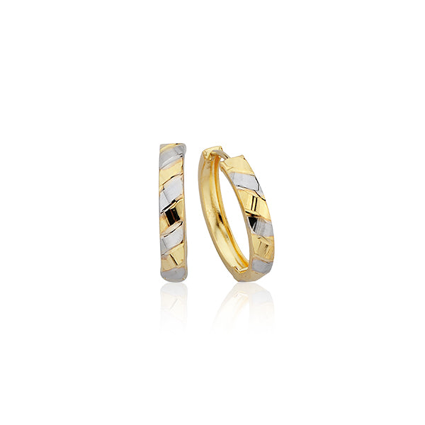 2 Tone Gold Earrings