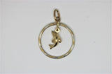 Round gold pendant with 2-tone dolphin